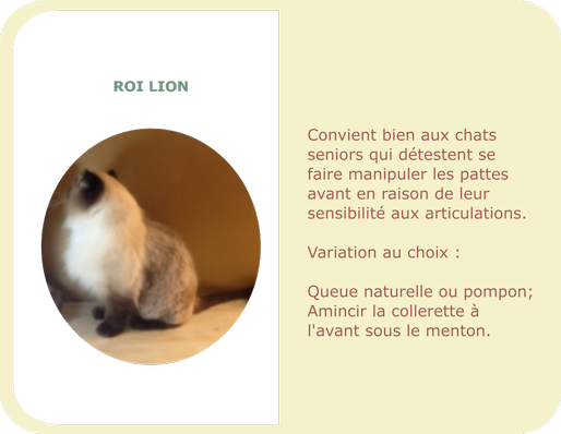 Toilettage Tonte Avec Ou Sans Bain Toilettage Et Boutique Le Pachat